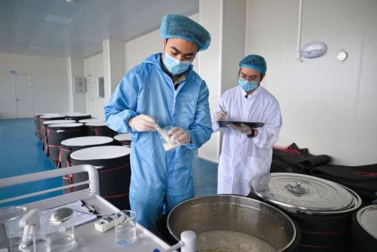 新春走基层美食