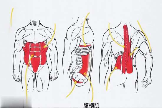 瘦肚子的方法1天消除大肚子