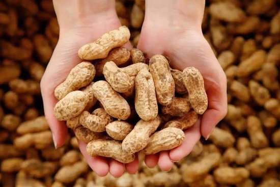 坚持吃半年花生