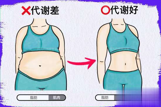 易瘦体质后天养成方法