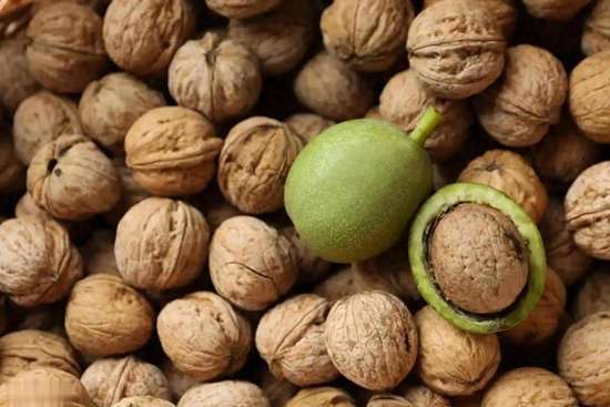 调查老人对养老需求的结果