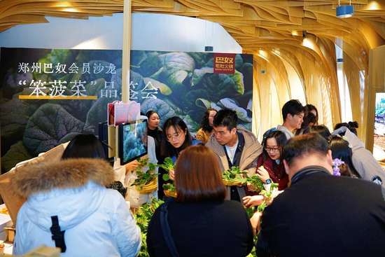 巴奴火锅笨菠菜介绍