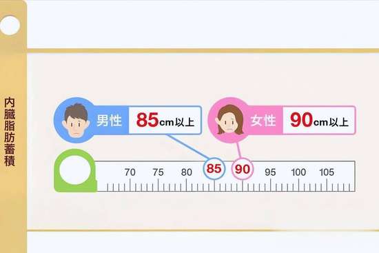 体重秤说谎原因