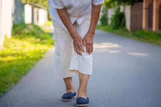 洋葱对老人健康的功效