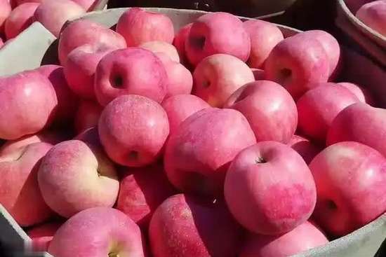 吃降压药不能吃苹果