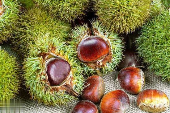 治疗胃寒最好的克星