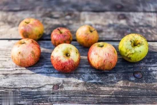 水果放冰箱超过多久就不能吃