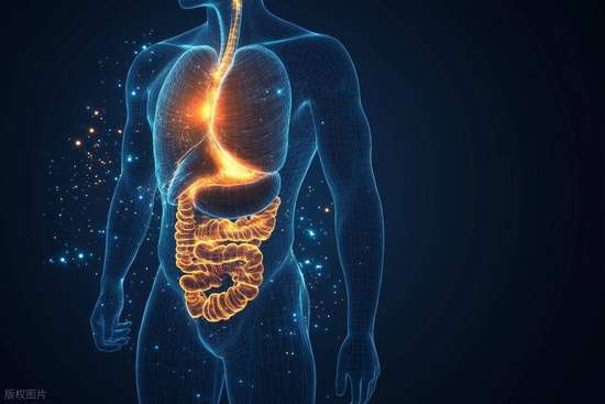 五更泻与肠易激的区别