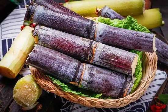 甘蔗长得慢是什么原因