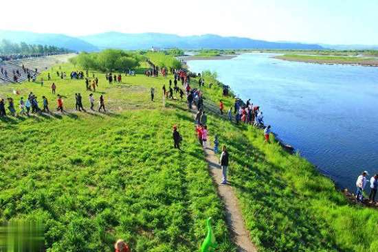 最适合老年人补钙的食物