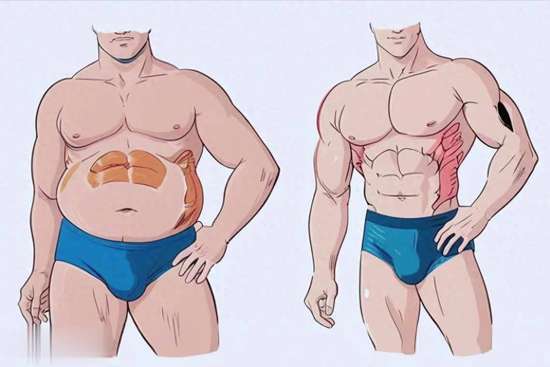 减脂误区大揭秘