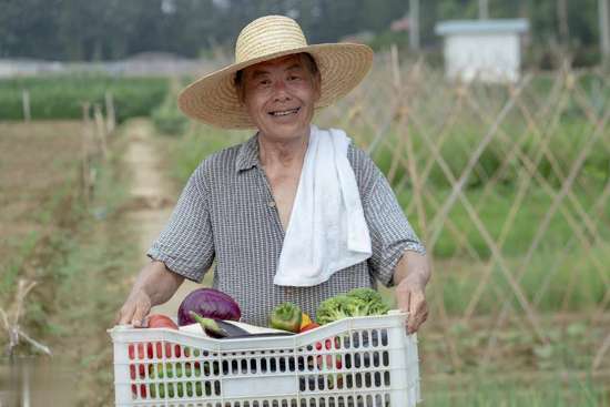 这4类人最好不要化疗