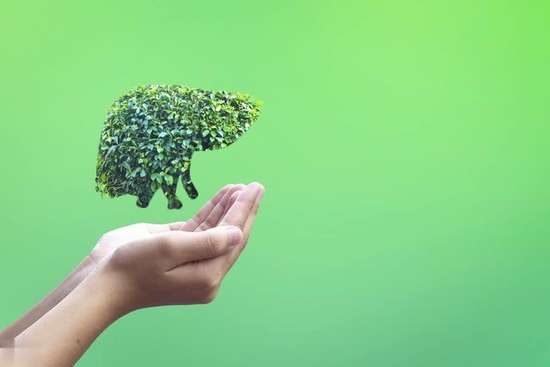 肝硬化熬夜后果会怎么样