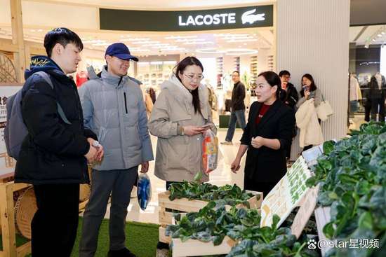 巴奴火锅笨菠菜介绍