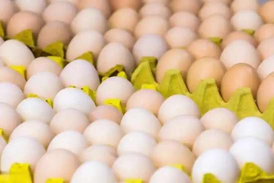 吃他汀不能吃鸡蛋吗