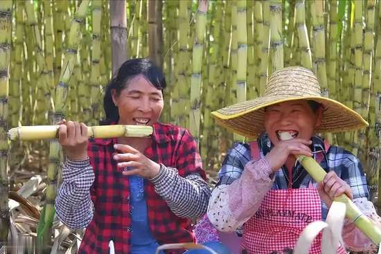 糖尿病人吃甘蔗