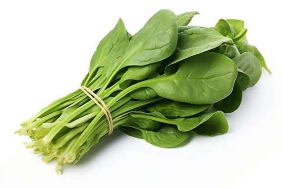 缺铁严重的后果