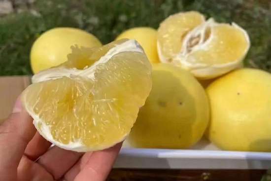 吃他汀一颗花生都不能碰吗