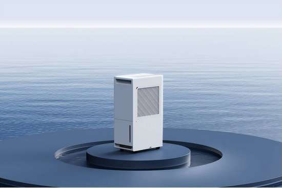 最好的祛湿方法