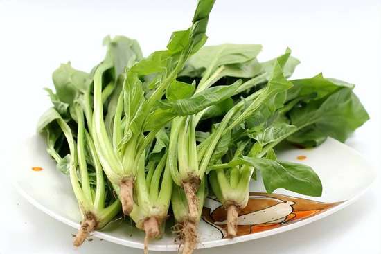 补铁食物大盘点