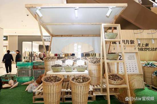 巴奴火锅笨菠菜介绍