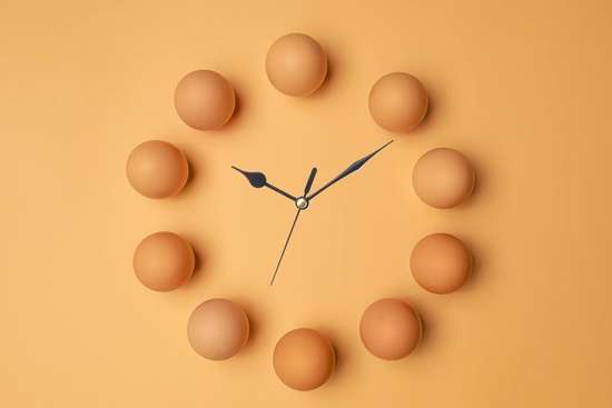 浙大研究每天多吃一个蛋