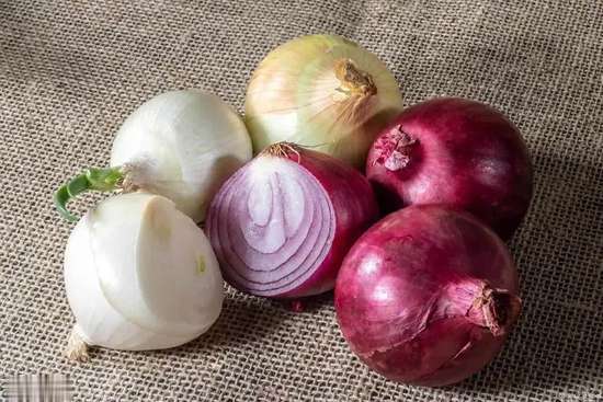 洋葱对老人健康的功效