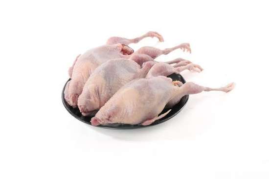 被称为动物人参的是什么