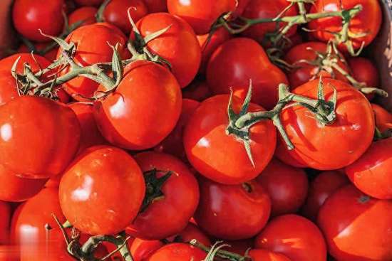 晚上吃了不胖的食物