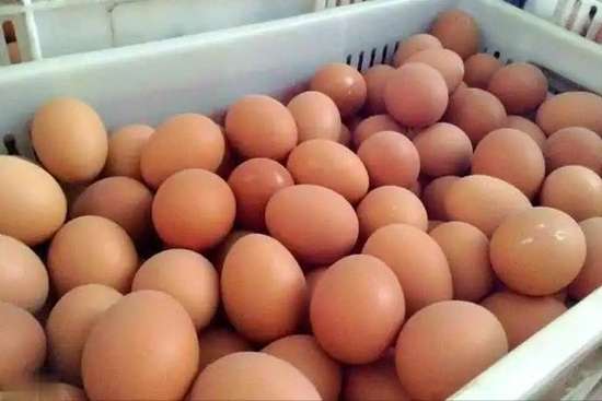 吃他汀不能吃鸡蛋吗