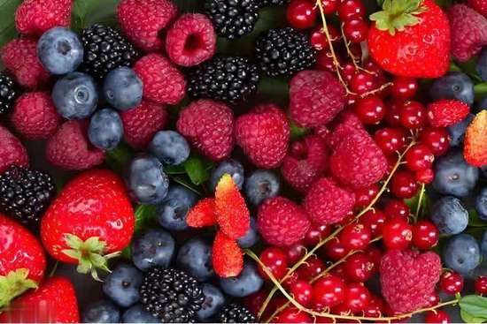 肺气肿最新研究进展