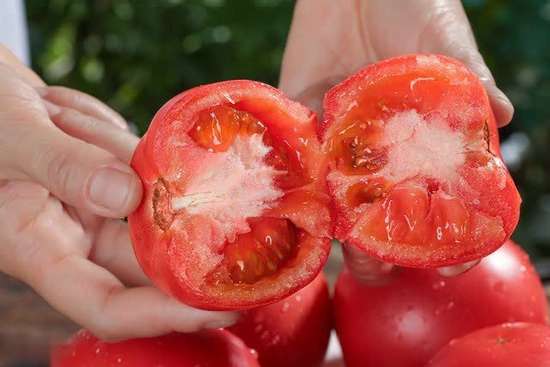 高血压的药医生说一天吃两次