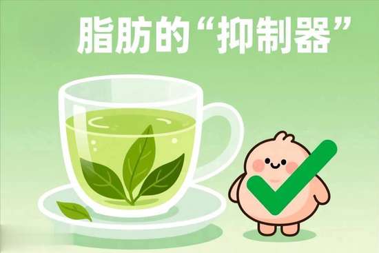 小腹脂肪厚怎么减