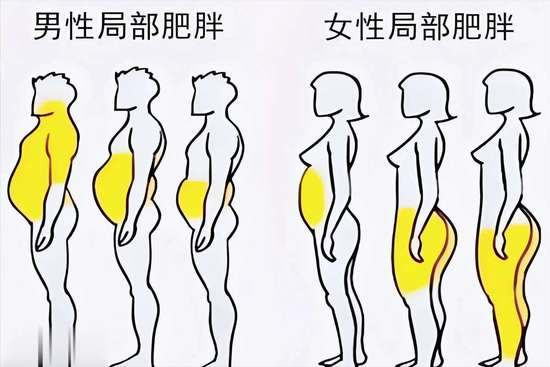 腰腹赘肉顽固