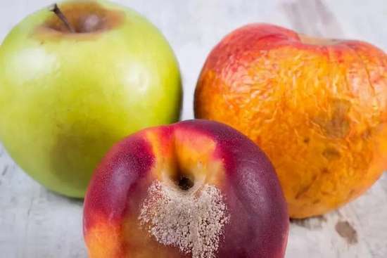 水果放冰箱超过多久就不能吃