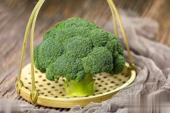 冬季4种高叶酸菜