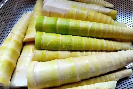 竹笋营养和功效与作用