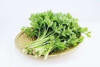 减肥必备10种食材