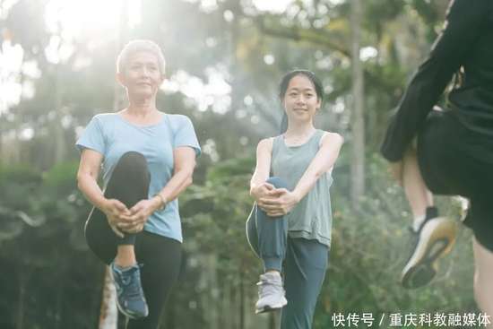 血管斑块最新研究进展