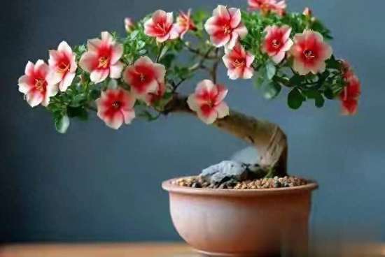 女人不显老的七件事