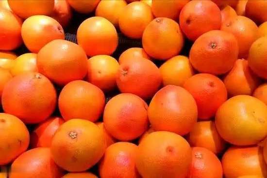 吃他汀不能吃鸡蛋吗