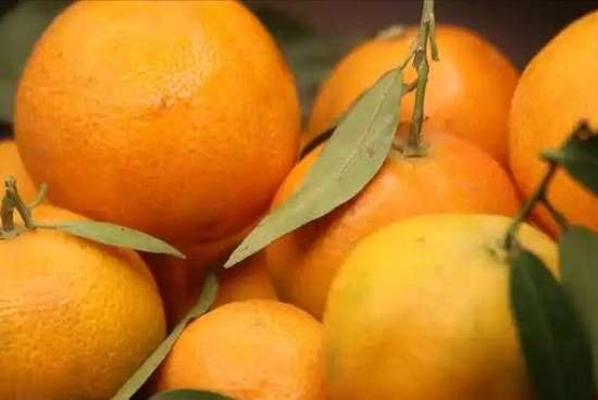 吃降压药不能吃苹果