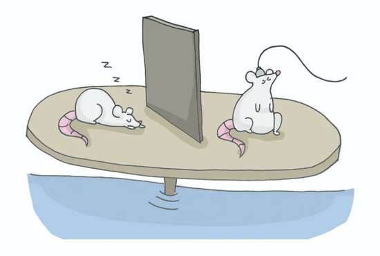 人类是因为有大脑才需要睡觉吗