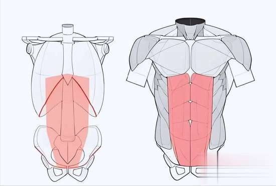甩掉顽固小肚子