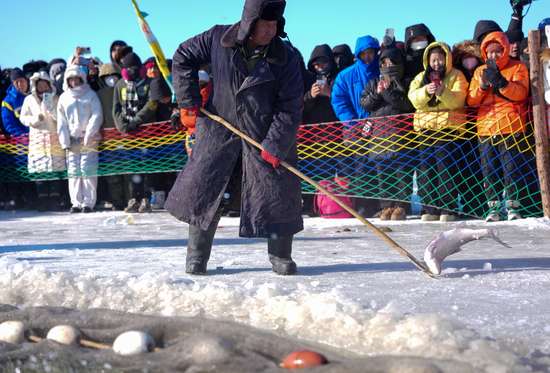 查干湖冰湖腾鱼奇观