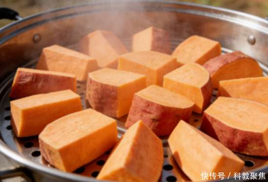 红薯再次被关注是什么意思