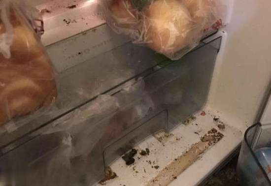 水果放冰箱超过多久就不能吃