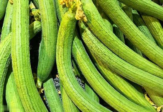 丝瓜食用有哪些禁忌和副作用