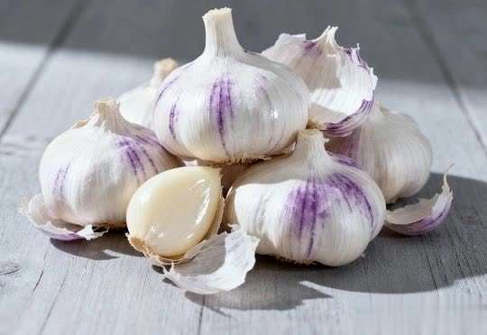 大蒜尿酸高能吃吗