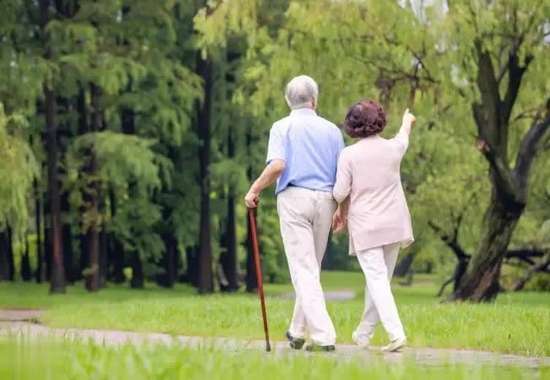 西兰花血脂高能吃吗